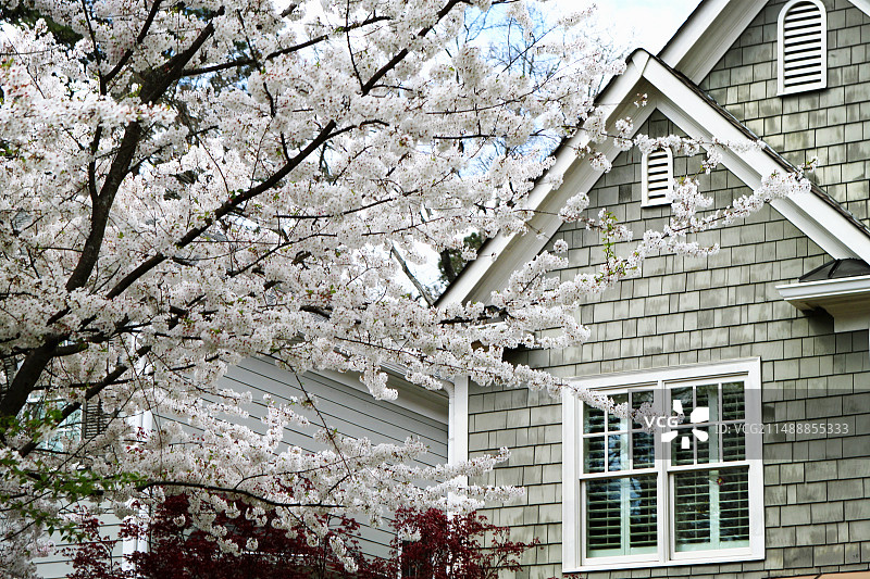 佛罗里达风光图片素材