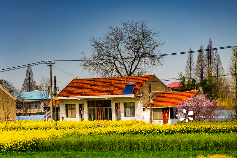 三月农村好风光图片素材