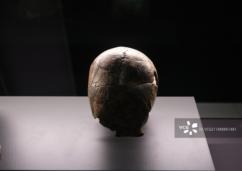 贵州省博物馆馆藏文物精品，贵州旧石器时代文物，普定穿洞遗址出土女性头骨，旧石器时代，一级文物图片素材