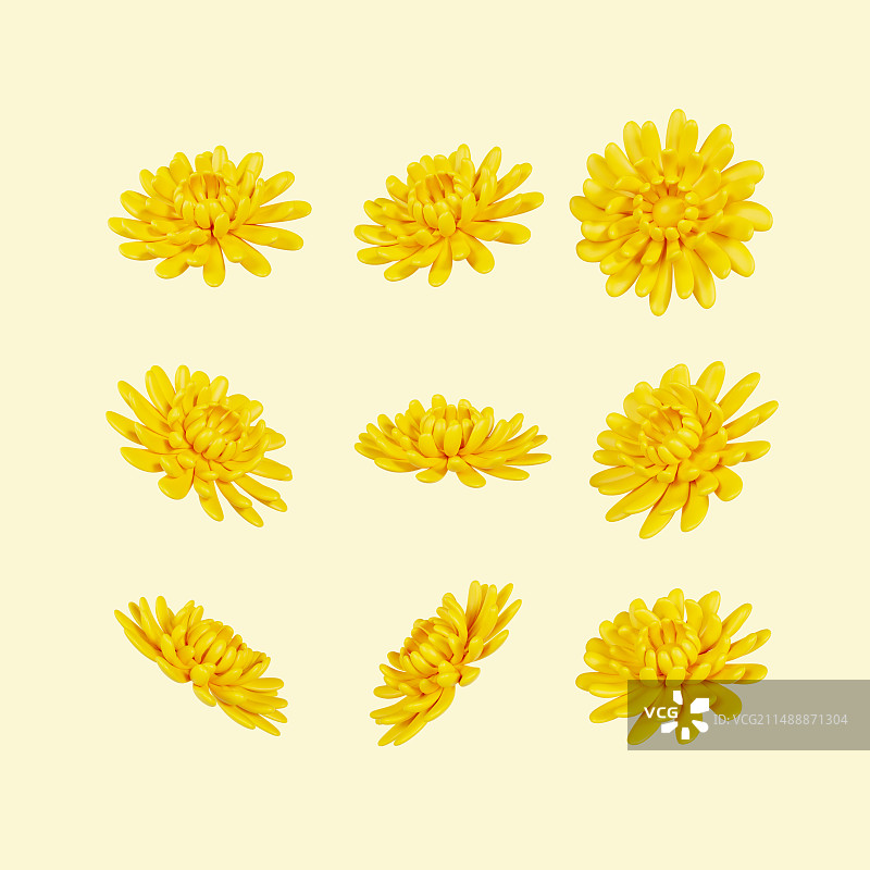 3D渲染的黄色菊花清明节重阳节元素插画图片素材