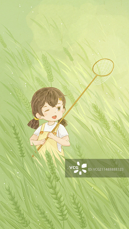 中国风小满节气插画图片素材