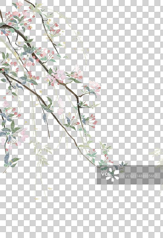 伸展的桃花枝图片素材