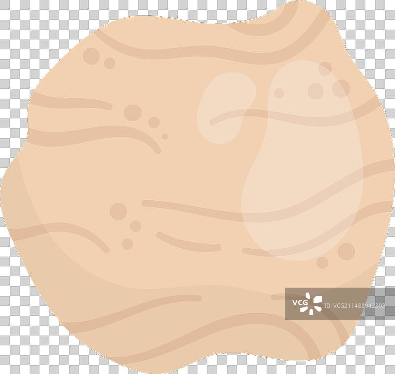 芹菜根蔬菜植物图片素材