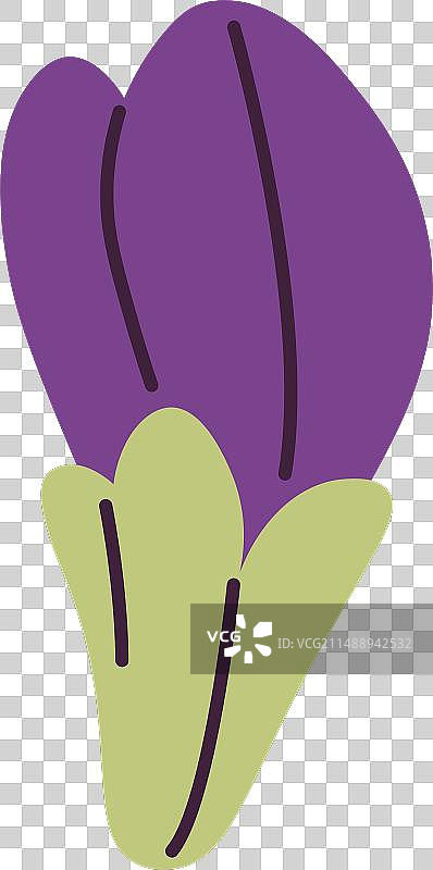 中提琴花朵图片素材