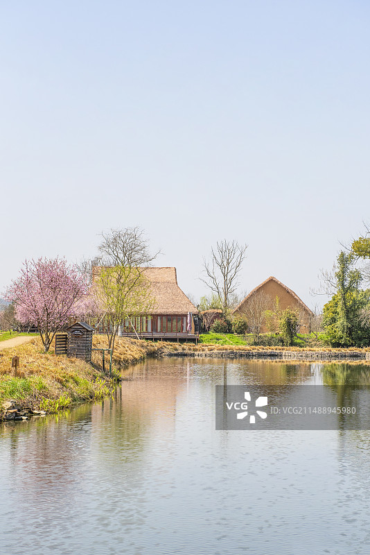 杭州良渚古城遗址公园 复古房屋 始前民居 古人住宅 杭州余杭图片素材