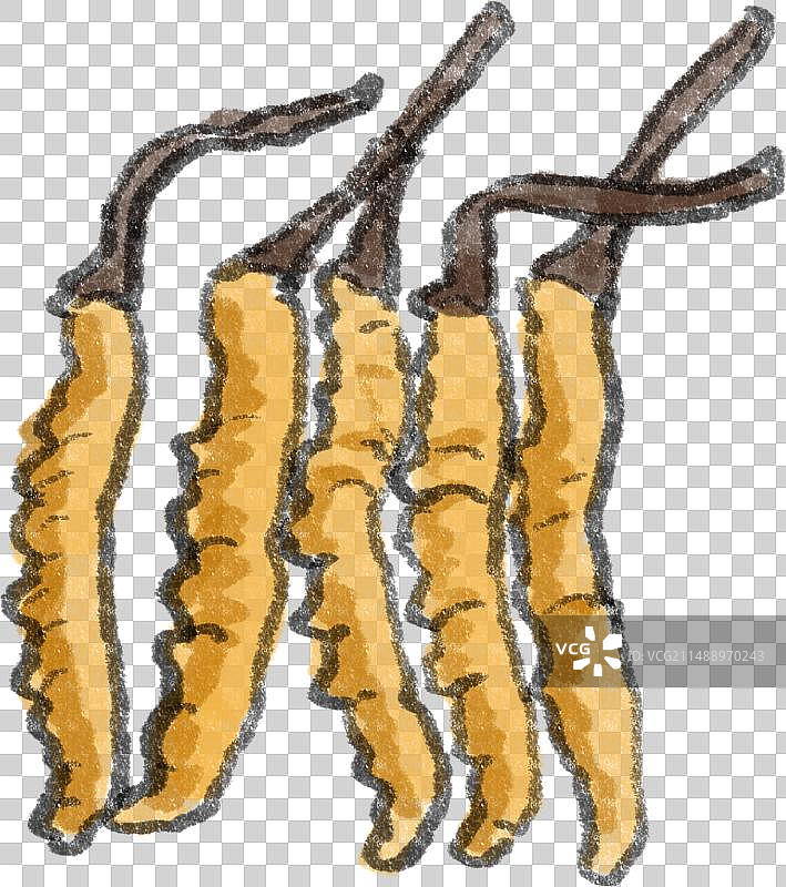 水墨风藏菜西藏美食虫草插画图片素材