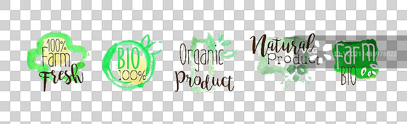 绿色有机农场产品和新鲜本地市场食品图片素材