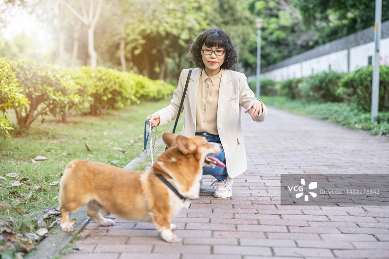一只柯基狗和女人图片素材