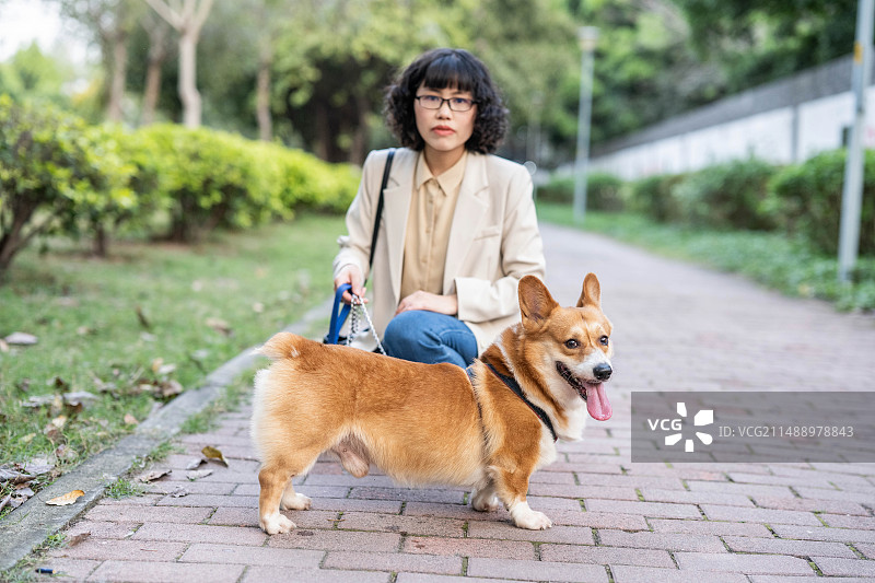 一只柯基狗和女人图片素材