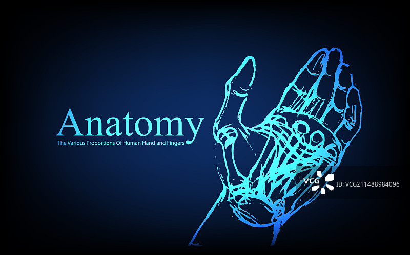 X光视图人体解剖图片素材