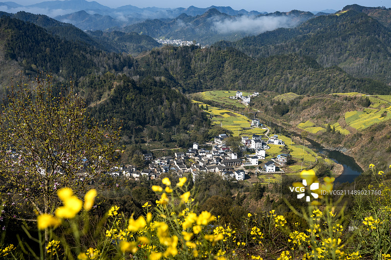 安徽皖南歙县石潭景区油菜花和民居图片素材