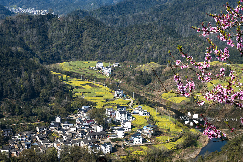 安徽皖南歙县石潭景区油菜花和民居图片素材