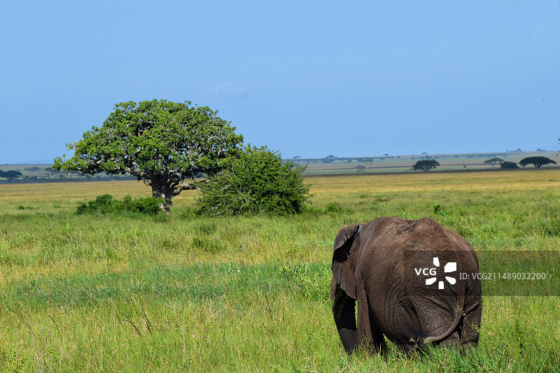 蓝天下的田野风景图片素材