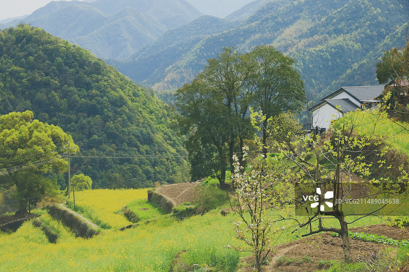 美丽乡村@建德胥岭图片素材