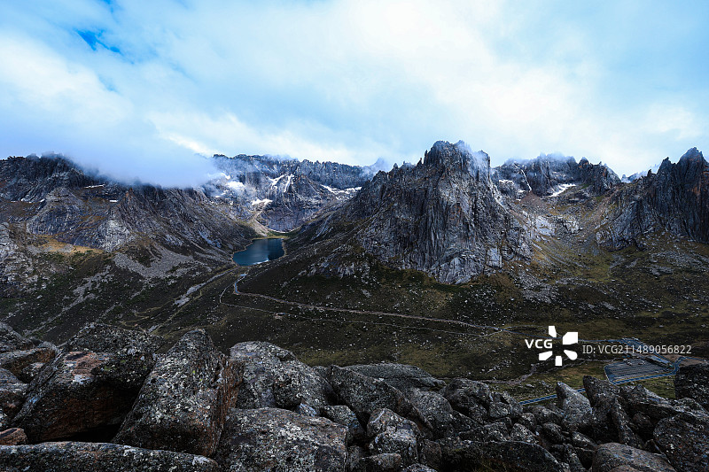 莲宝叶则美景图片素材