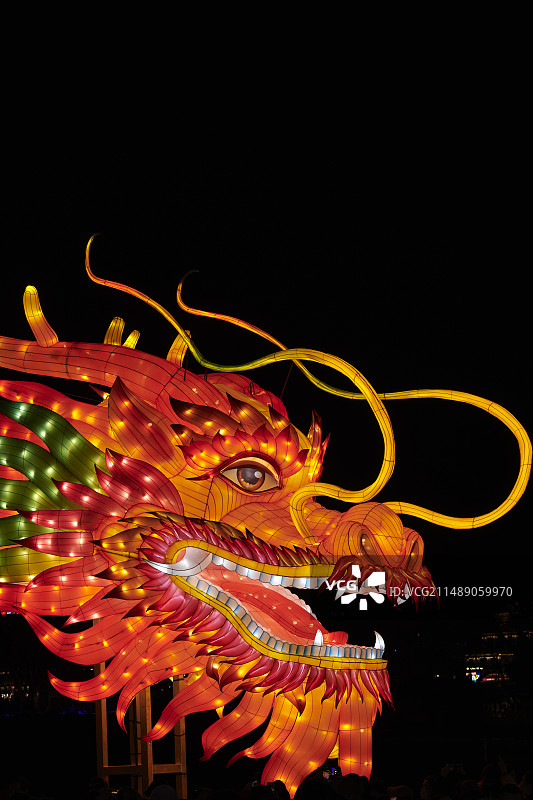 中国龙龙头特写图片素材