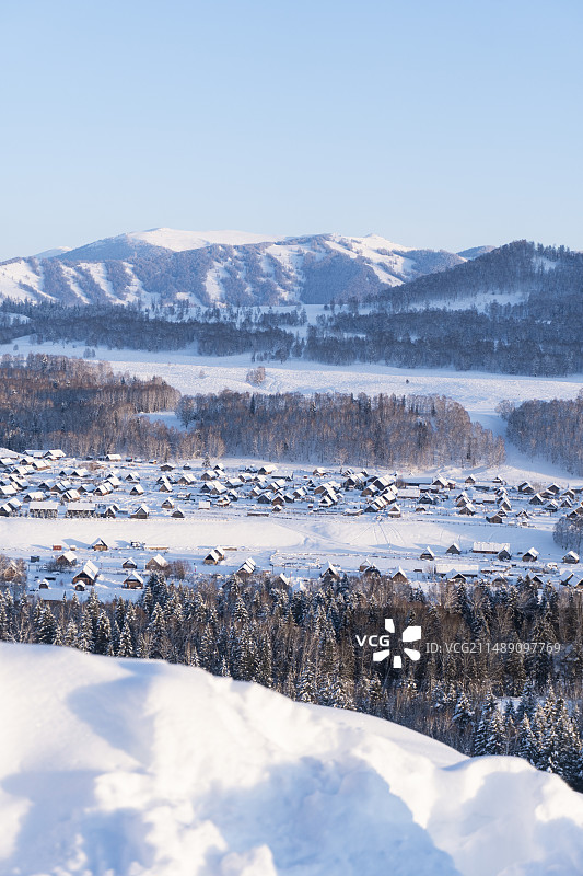 雪前山下树林中图片素材