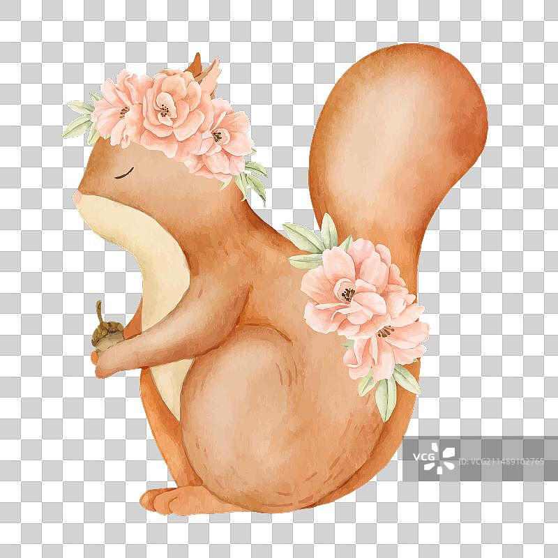 手绘玫瑰花和小红松鼠图片素材