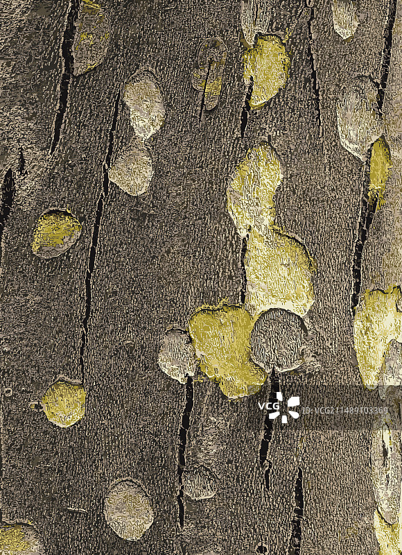 树皮纹理图片素材