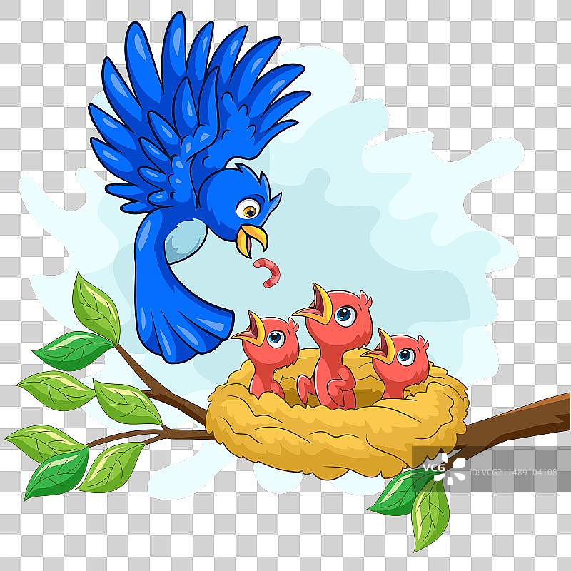 蓝鸟妈妈在巢中喂食幼鸟图片素材