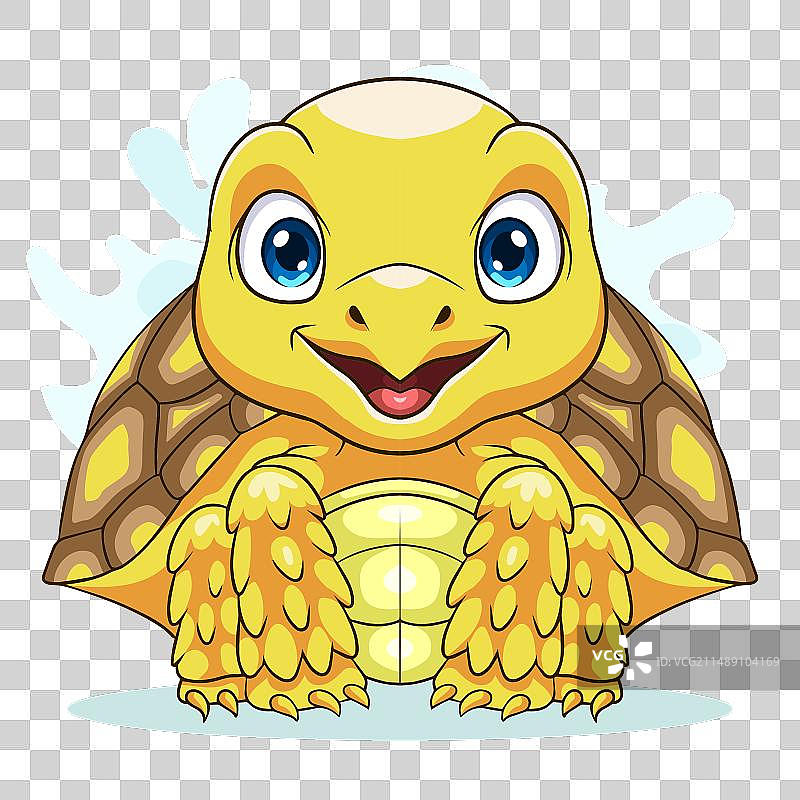卡通可爱的苏卡达陆龟图片素材