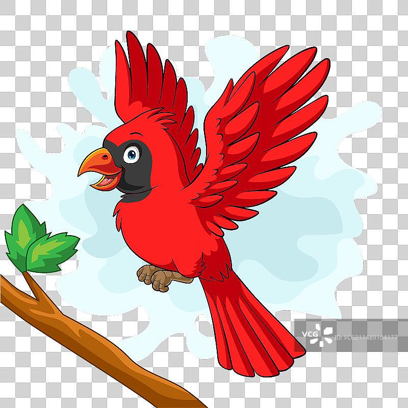 树枝上的卡通红雀图片素材