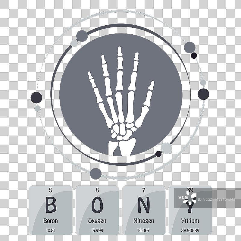 骨骼科学图片素材