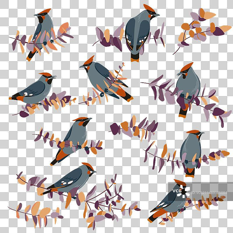 绘制树枝和小鸟图片素材