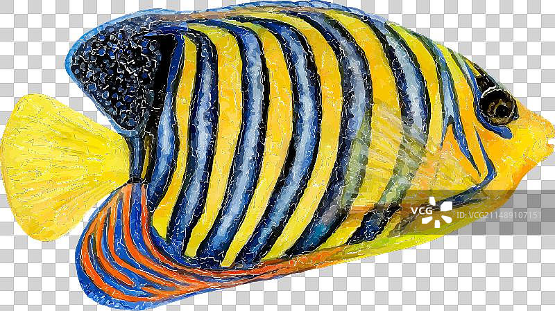 白色背景上的皇家天使水彩画图片素材