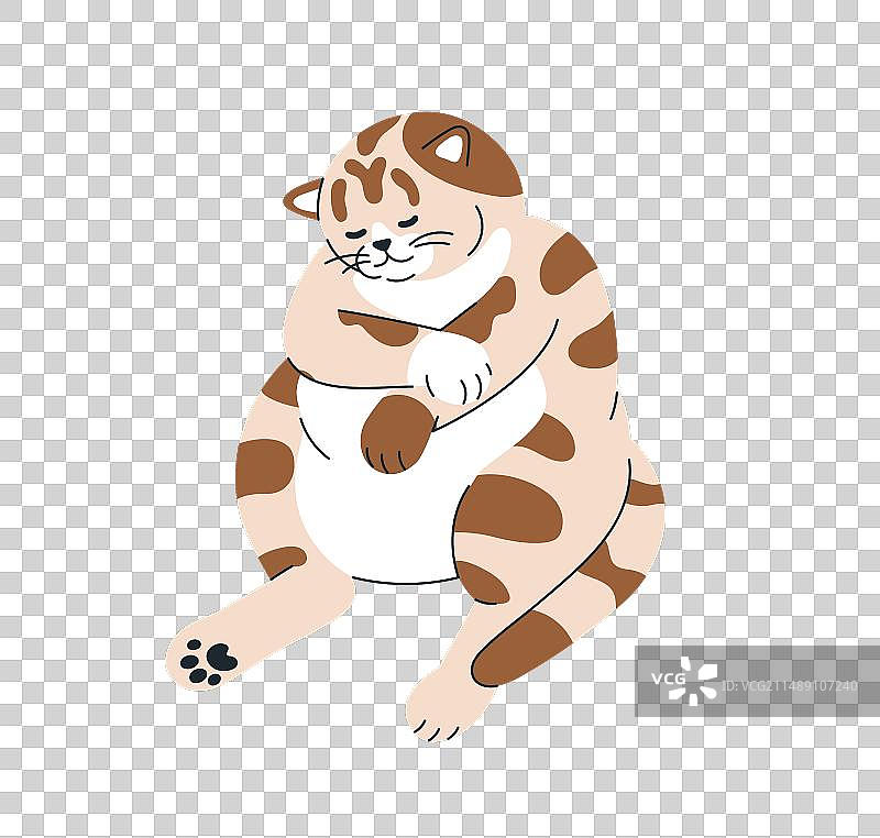 可爱的猫咪睡在有趣的坐姿表情包里图片素材