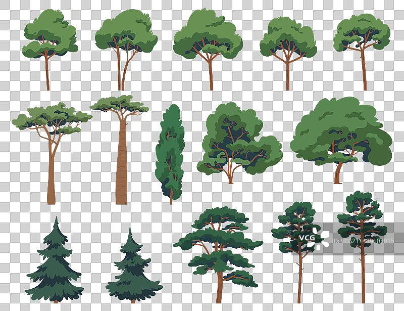 一组卡通落叶和针叶树图片素材