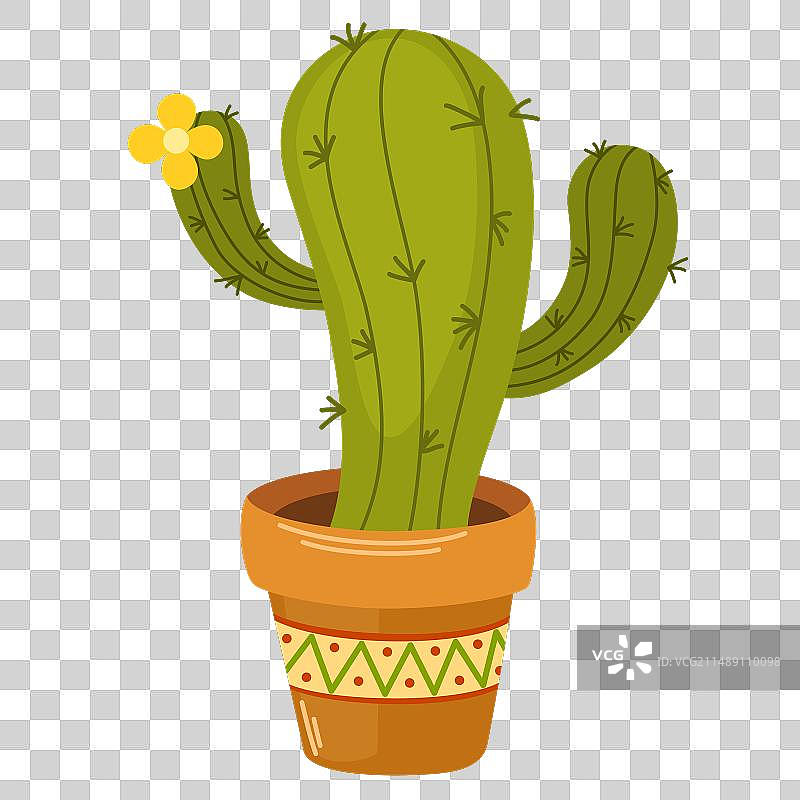 1613仙人掌图片素材