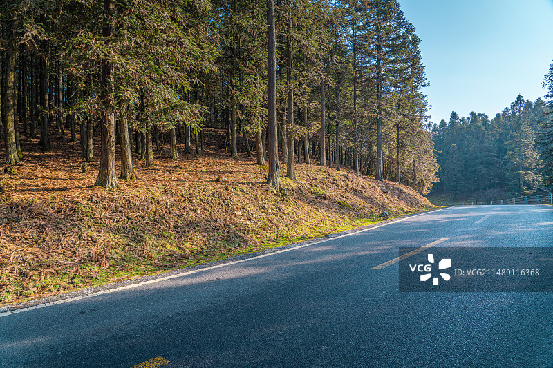 网红小火车，仙女山，重庆，大草原景区图片素材
