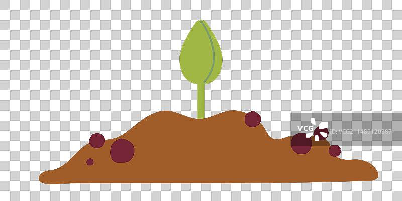 一堆带有绿色小芽的泥土图片素材