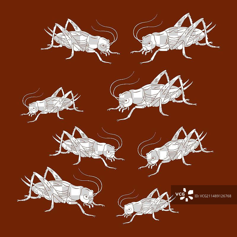 板球图标图片素材