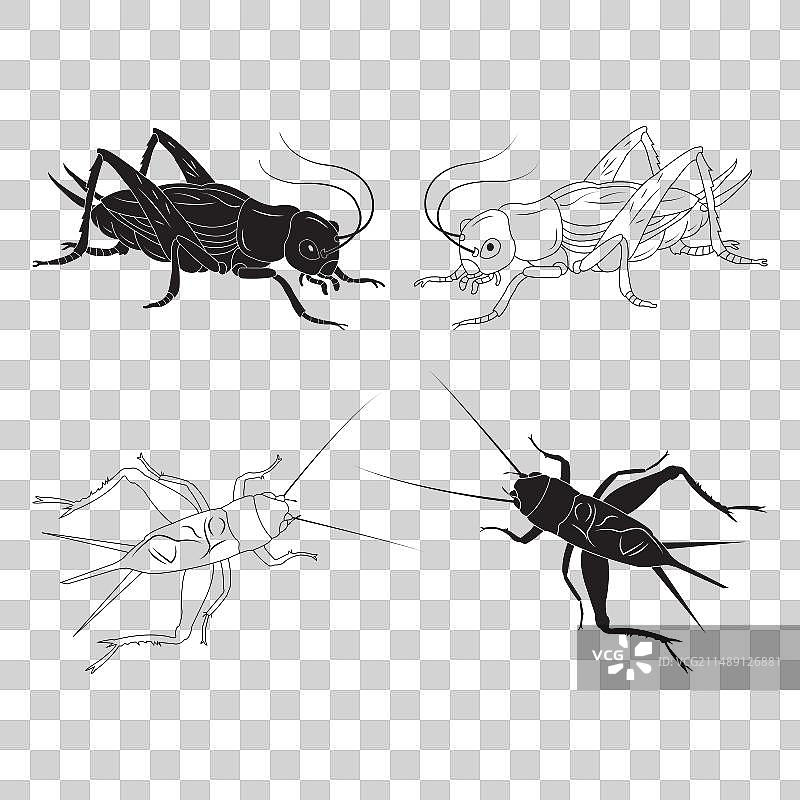 板球图标图片素材