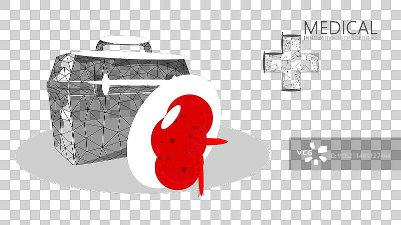 3D人体肾移植病例红色低位图片素材