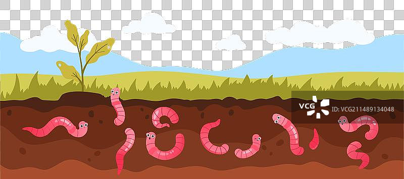 土壤分层结构示意图与绿色植被图片素材