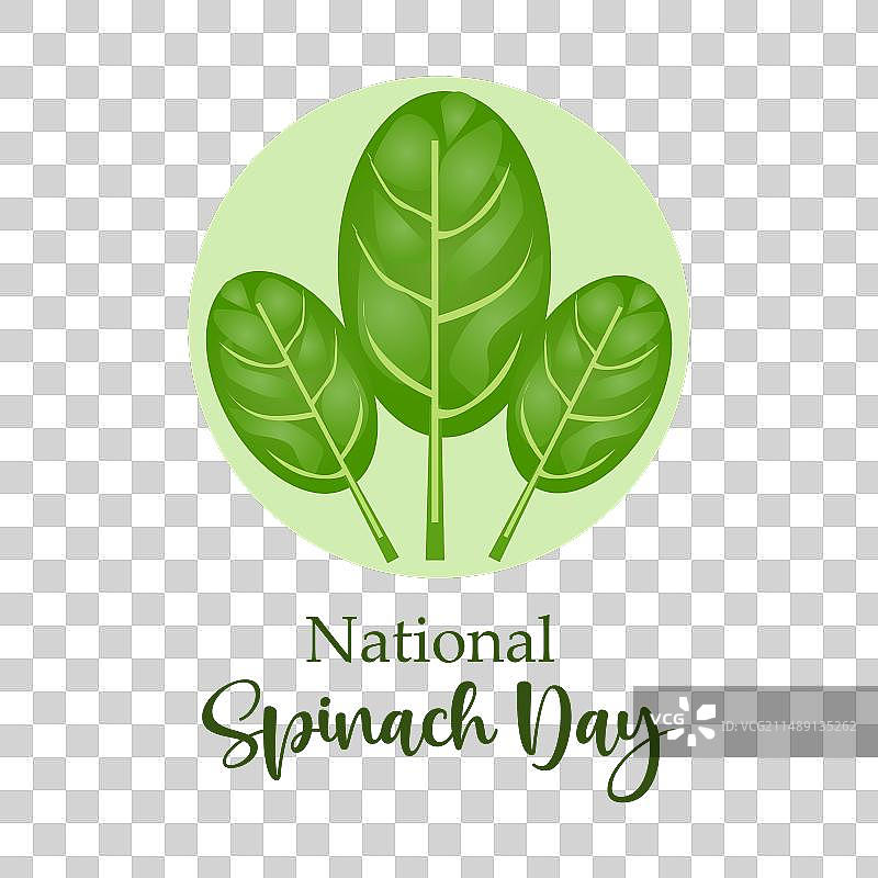 国家菠菜日标志和徽章图片素材