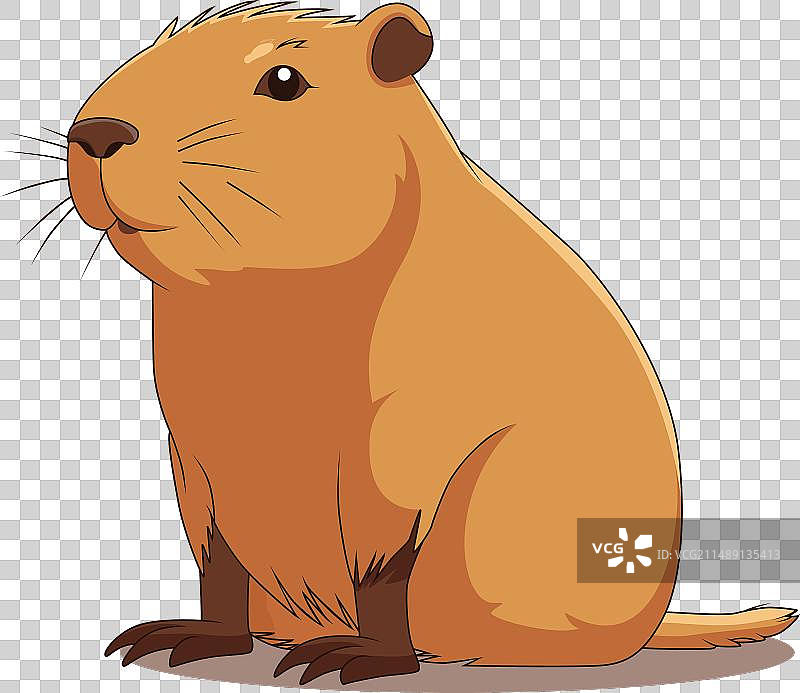 白色背景上的可爱水豚卡通图片素材