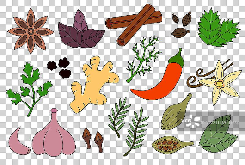 香料、调味品和草药涂鸦合集图片素材