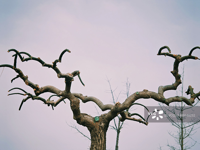 万物复苏图片素材