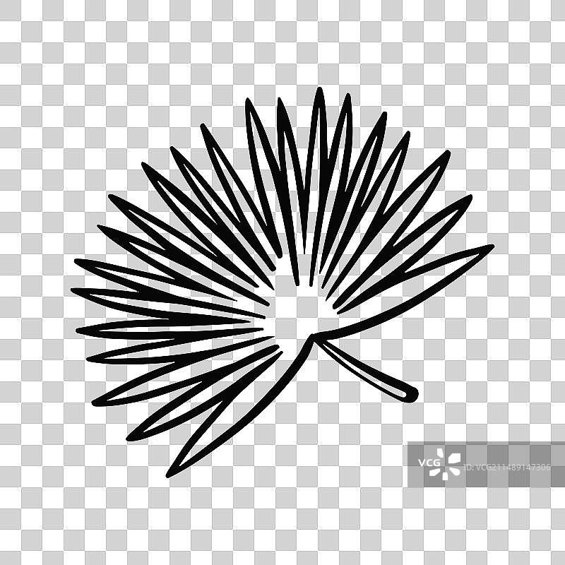 手绘棕榈叶轮廓图片素材