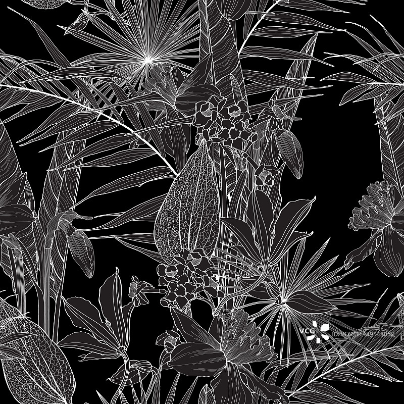 黑白线条热带异域树叶花卉图片素材