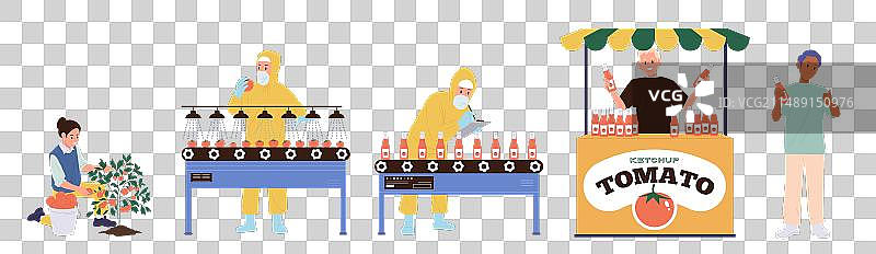 番茄生产线工人群体图片素材