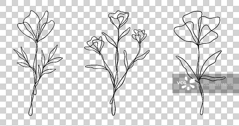 花卉线条艺术合集图片素材