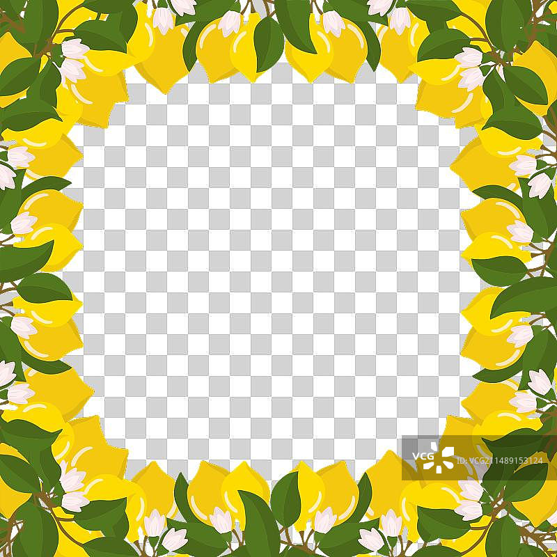 柠檬枝和柠檬的组合边框图片素材