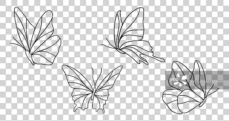 蝴蝶线条艺术合集（4款）图片素材