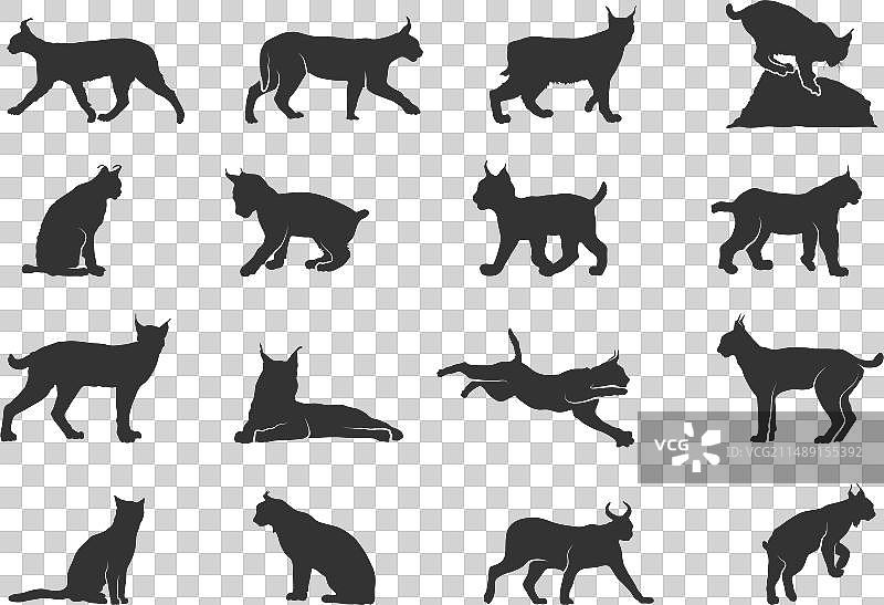 猞猁猫剪影图片素材