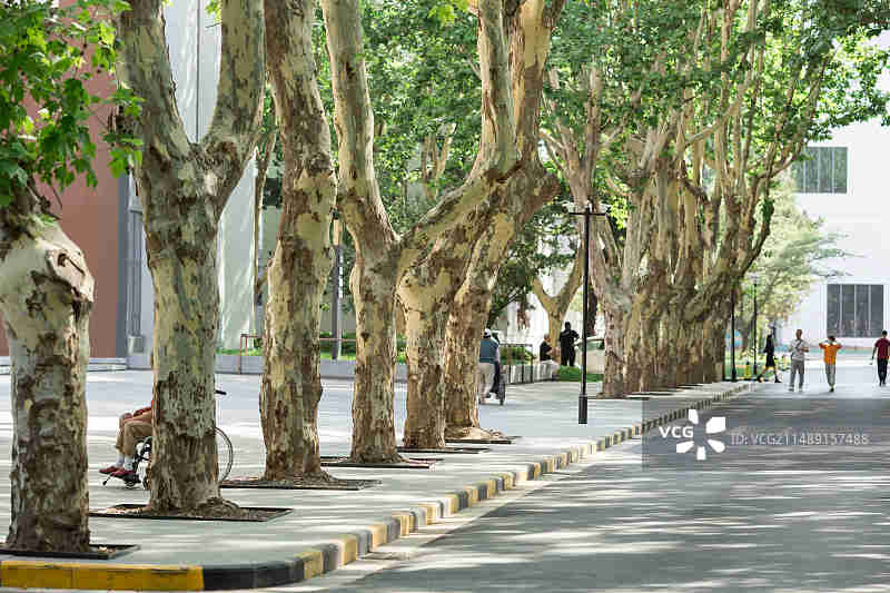 南京南师大玄武科技园 (金地·梧桐里)图片素材